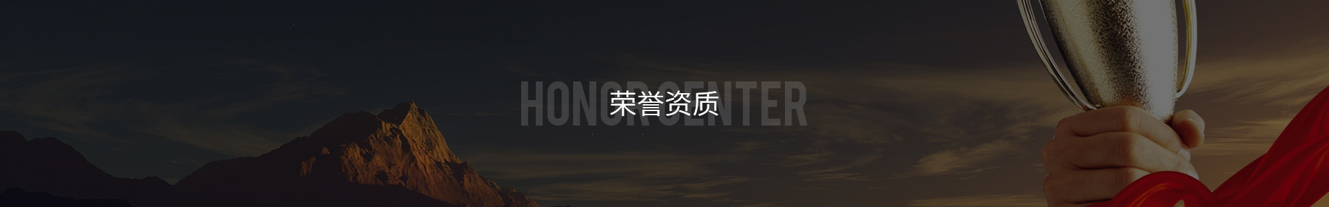 榮(róng)譽資(zī)質